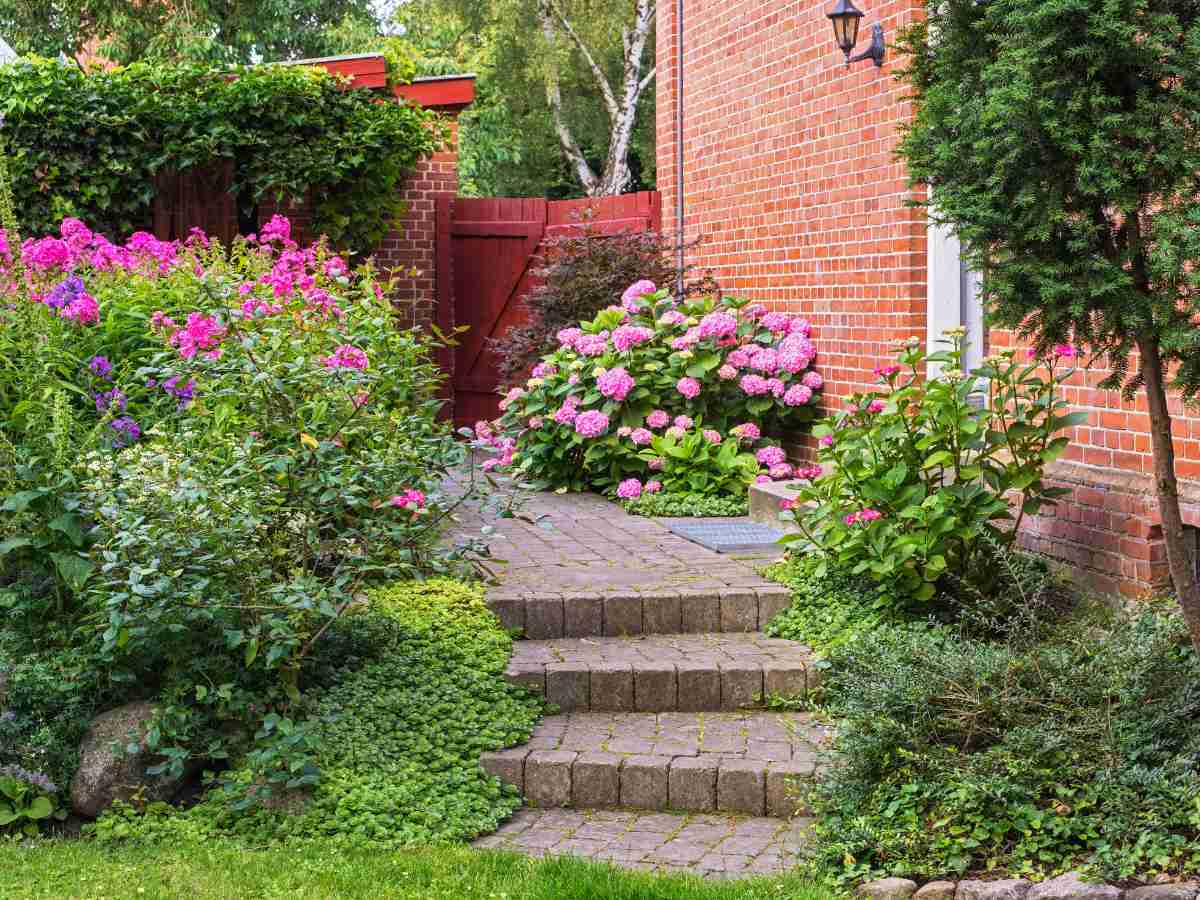 garden.jpg